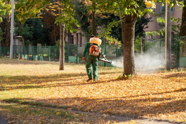 Best Mosquito Control Services  in White Hall, IL
