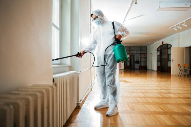 Best Wasp Removal Services  in White Hall, IL